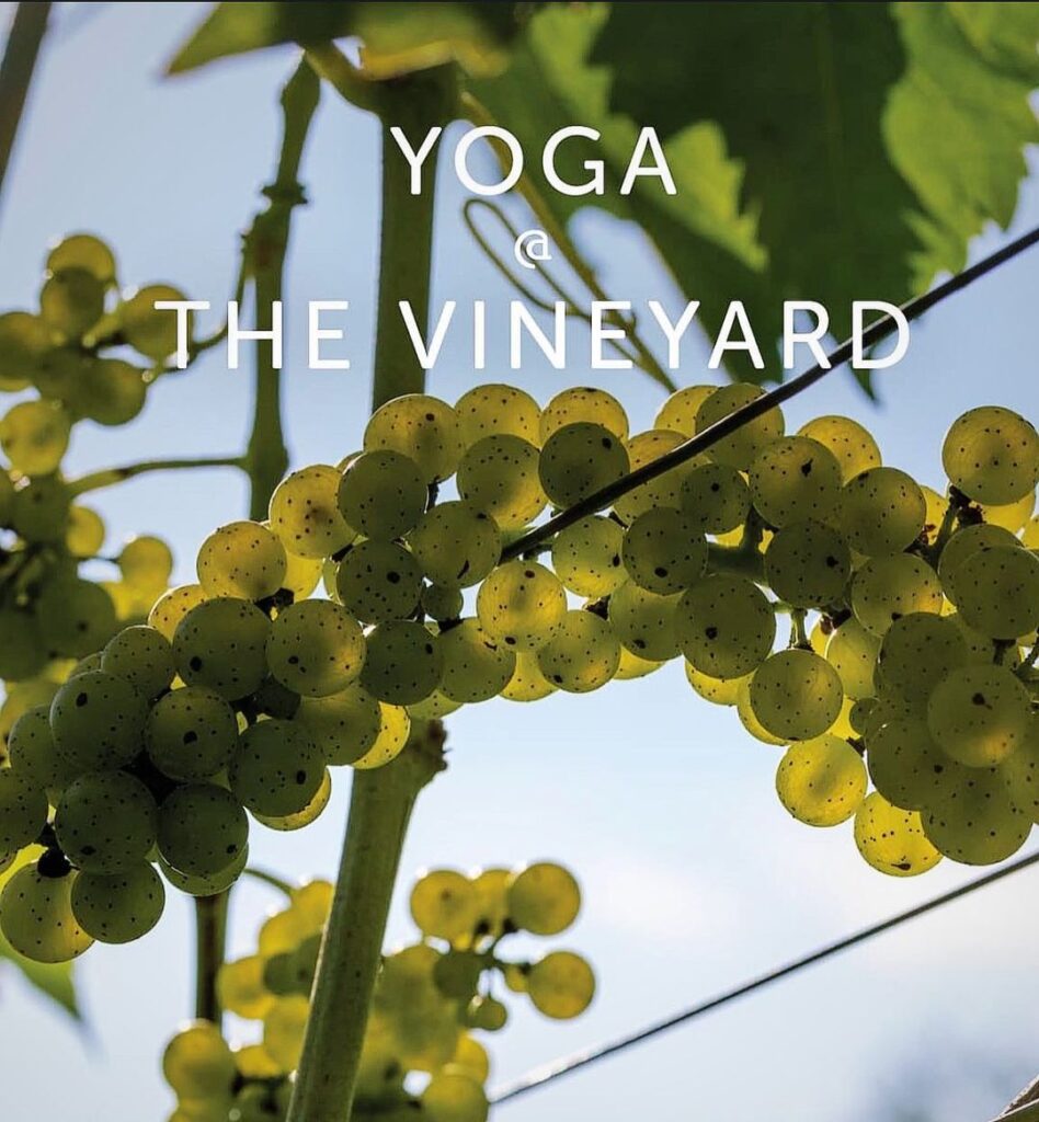 Yoga The Vineyard Visit Culpeper