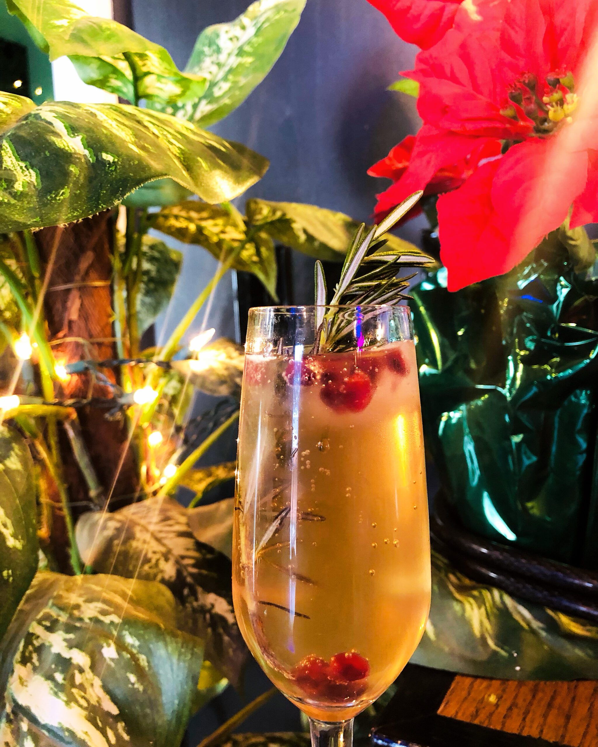 A glass of champagne garnished with rosemary and cranberries sits in front of festive holiday decor, including a brightly lit string of lights, green foliage, and a vibrant red poinsettia. The arrangement creates a warm and celebratory atmosphere.