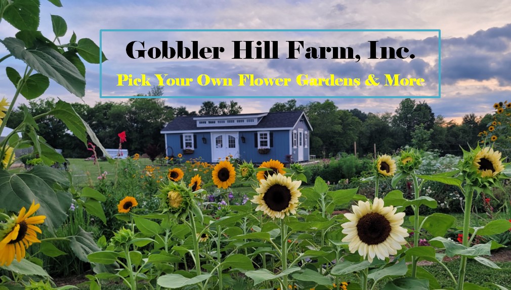 Gobbler Hill Farm Inc Image