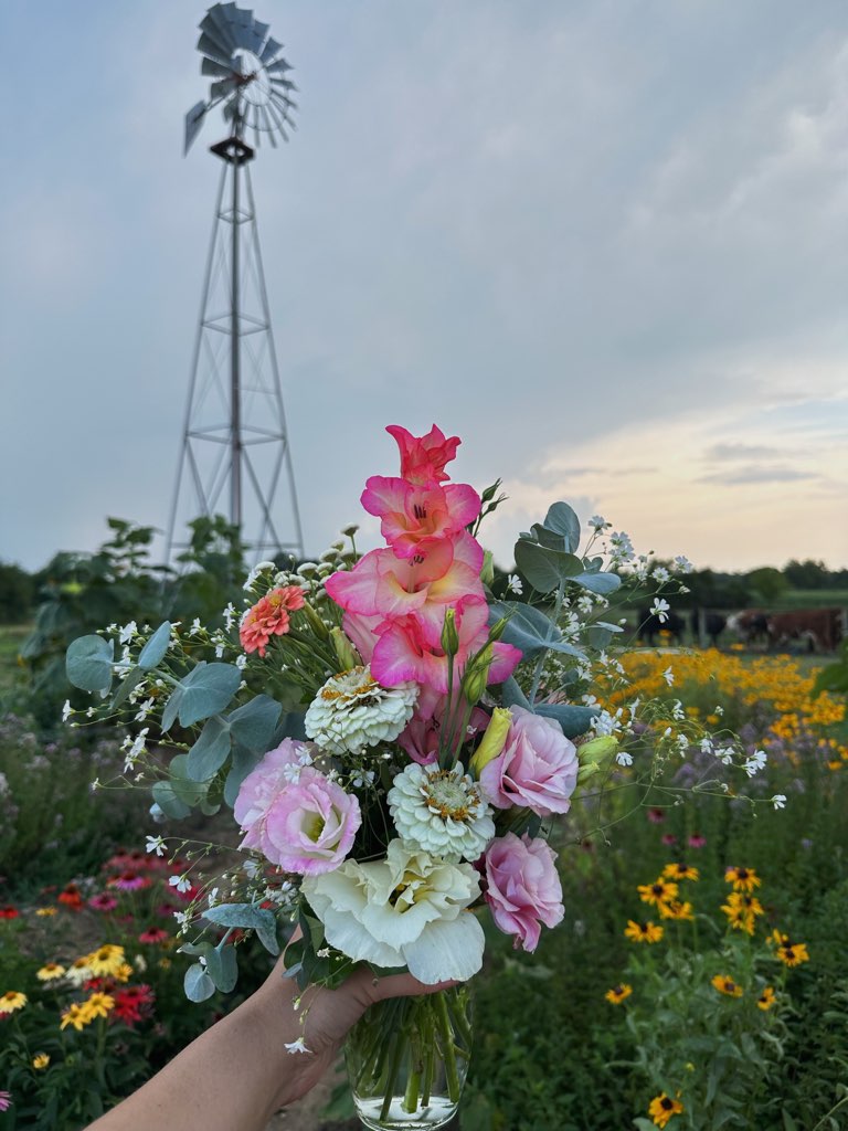 Gobbler Hill Farm - Pick your own flower farm