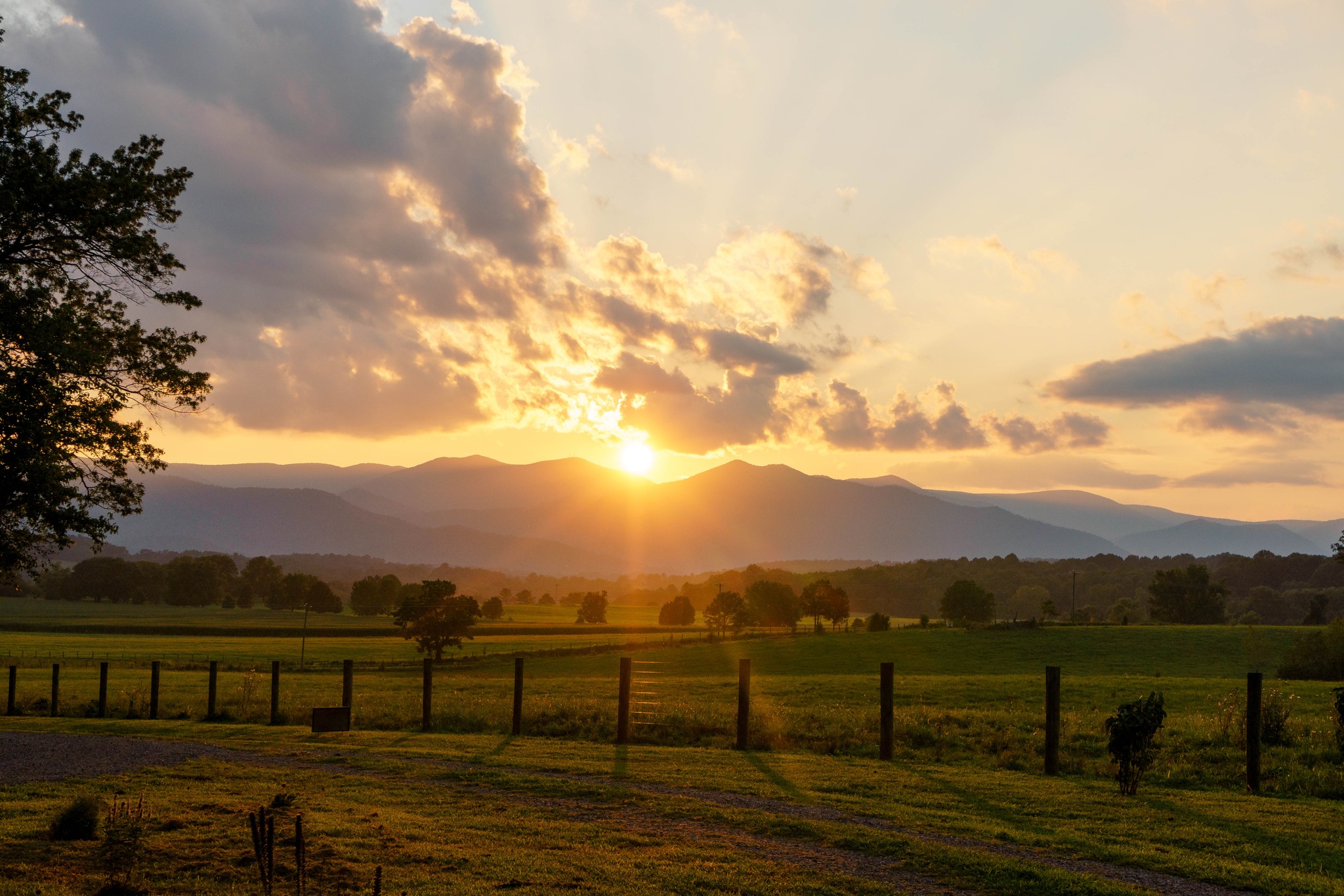 Revalation Vineyards Image