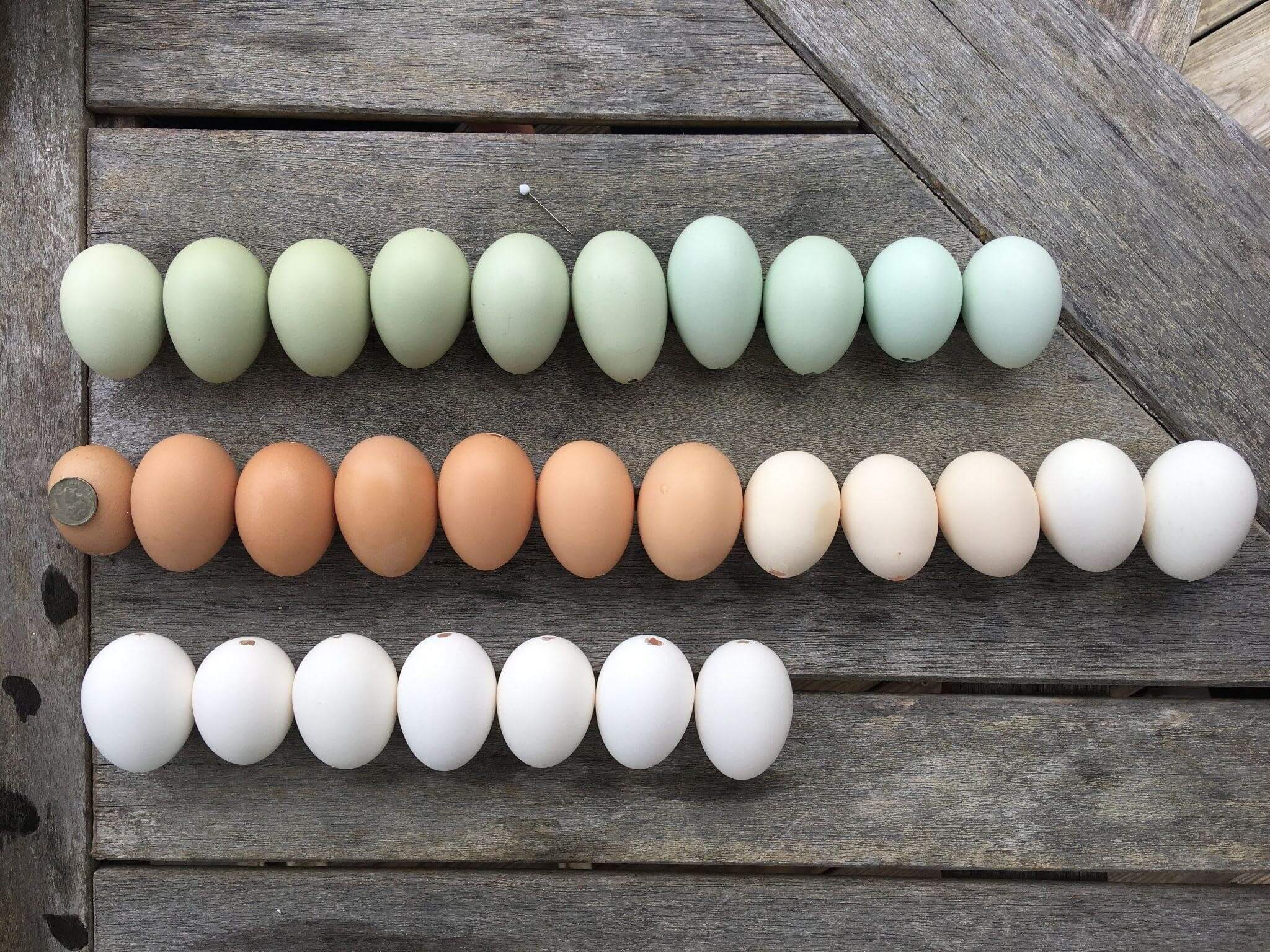 Assorted eggs arranged in rows on a wooden surface. The top row consists of green eggs, the middle row of brown eggs, and the bottom row of white eggs. The eggs are positioned horizontally and uniformly aligned.