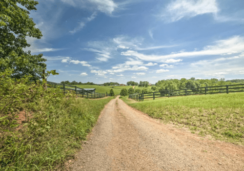Liberty Hall Plantation – The Pond Cottage Farm Stay Image