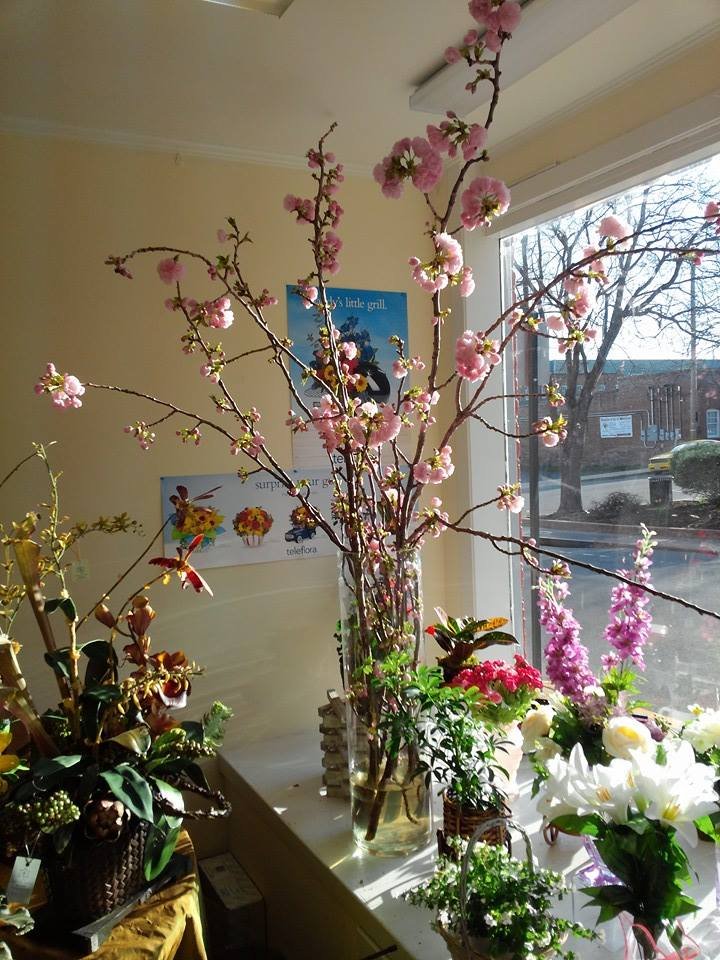 A bright room displays a tall vase with branches of blooming pink flowers, surrounded by various other floral arrangements. A large window lets in natural light, revealing a view of a tree and buildings outside. Two posters are visible on the wall behind the flowers.