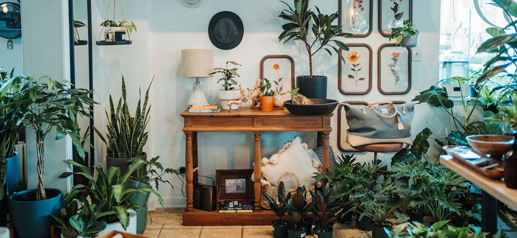 A cozy room filled with a variety of indoor plants in pots. A wooden table against the wall displays a lamp, books, and plant decor, with a hat hanging above. Botanical prints and framed dried flowers adorn the wall, and there's a bag and throw pillow on the table.