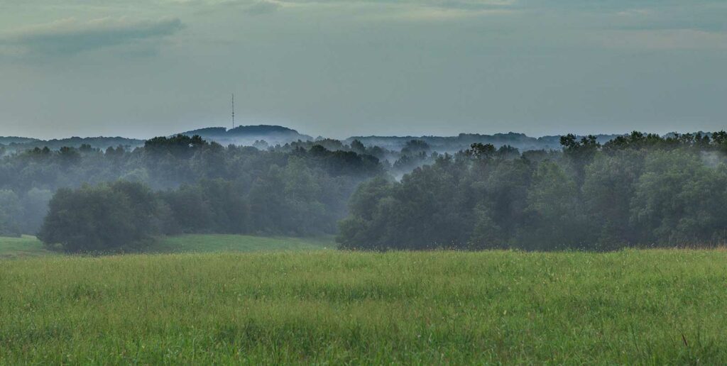 A serene landscape featuring a lush, green field in the foreground, rolling into a densely forested area in the middle ground. Mist hangs over the trees, creating a dreamy effect, with a distant hill and the silhouette of a communication tower in the background.