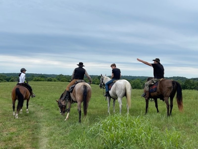 Horse Tour at Brandy Station