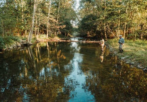 5 of the Best Fishing Spots in Culpeper, Virginia Image