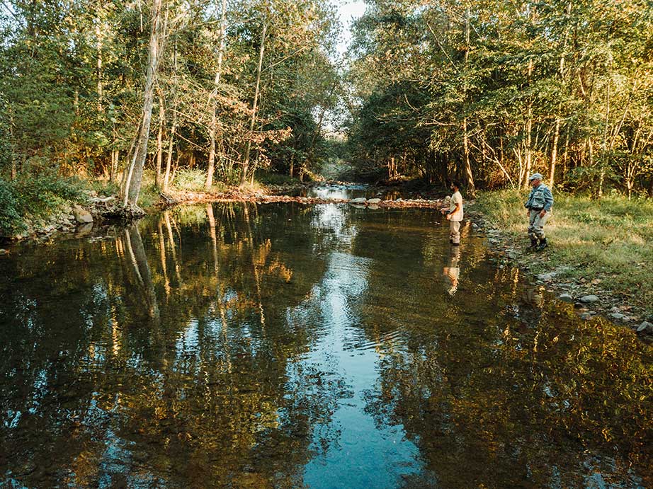 6 of the Best Fishing Spots in Culpeper, Virginia Image