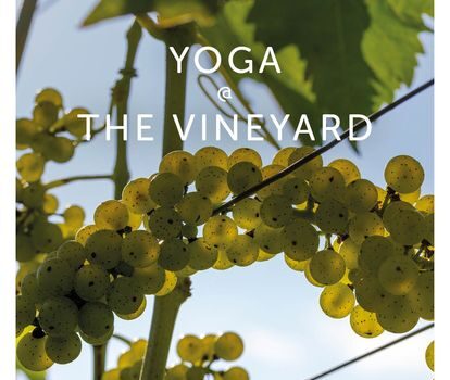 Yoga @ The Vineyard Image