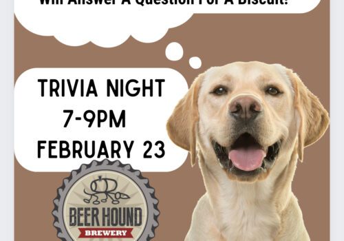 Trivia Night at Beer Hound Brewery Image