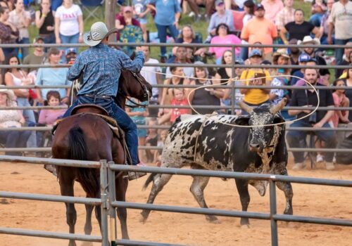 4th Annual Culpeper Rodeo Image