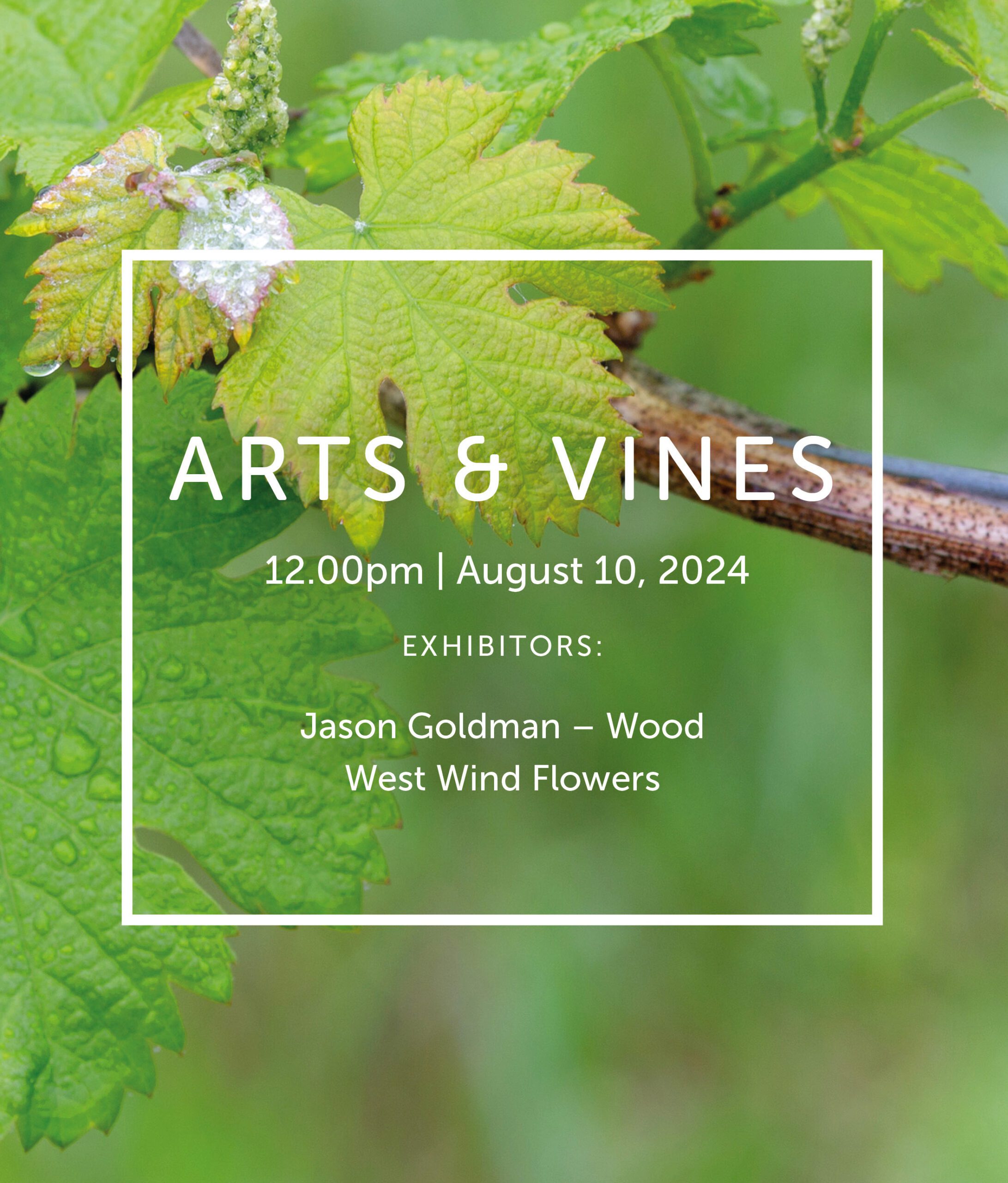 A close-up of a grapevine with green leaves and dew drops. Overlaid text reads: "Arts & Vines, 12.00pm | August 10, 2024. Exhibitors: Jason Goldman – Wood, West Wind Flowers.