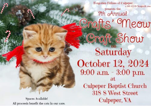 7th Annual Crafts’ Meow Image