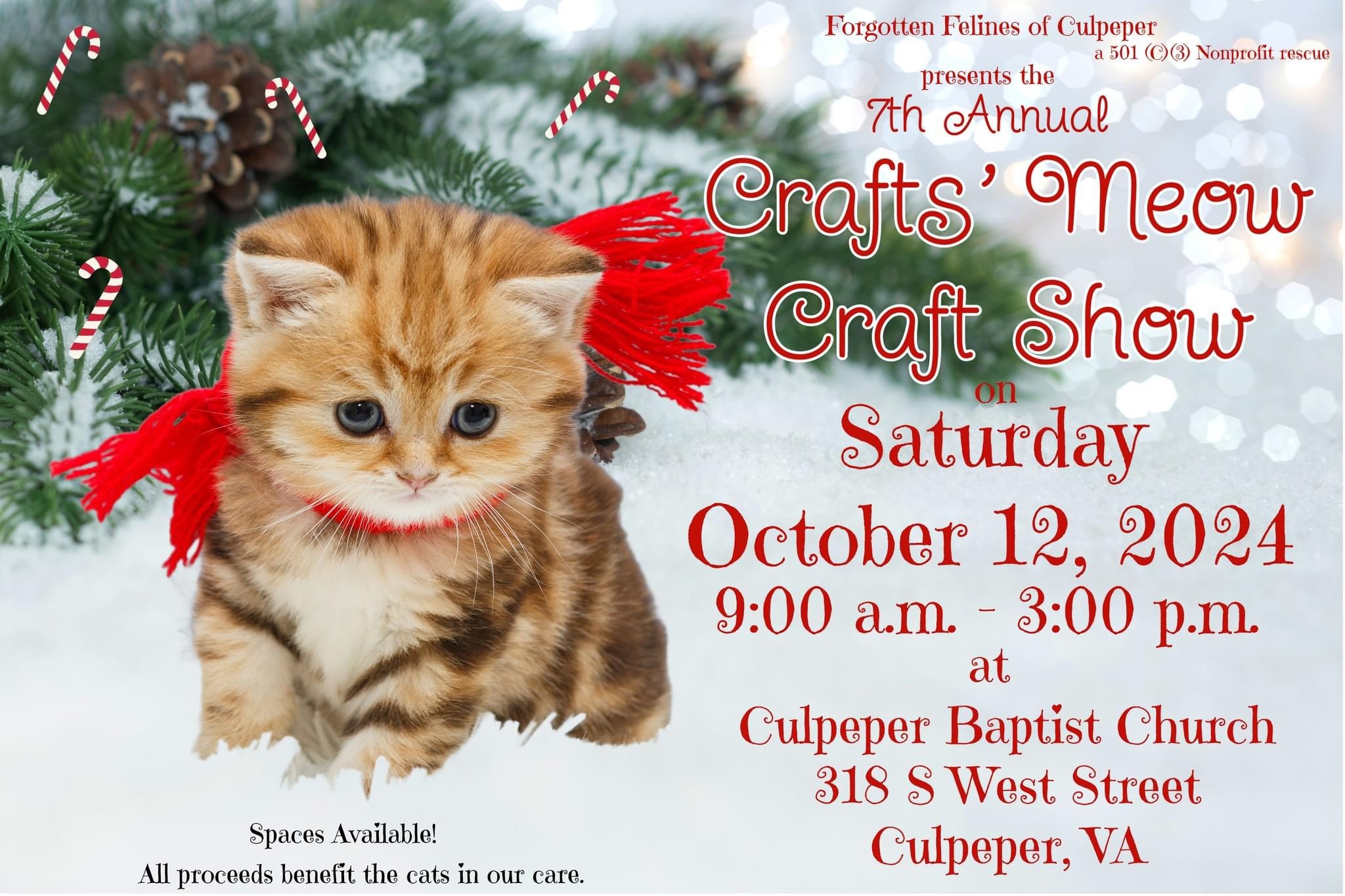 Craft Show Poster