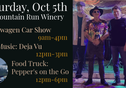 VW Car Show and Live Music at Mountain Run Winery Image