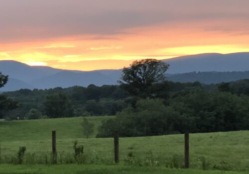 Revalation Vineyards Sip into the Sunset @ The Cabin Image