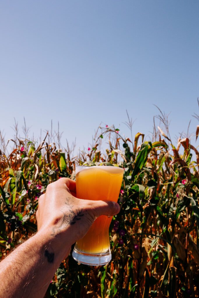 beer glass in front of corn