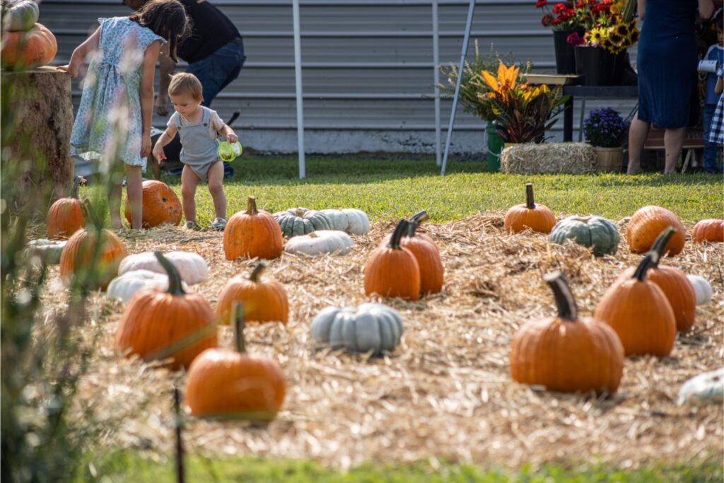 kids in pumpkin patch