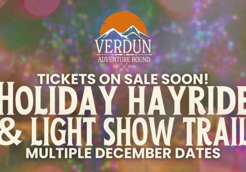 Holiday Hayrides & Lights Show Trail Image