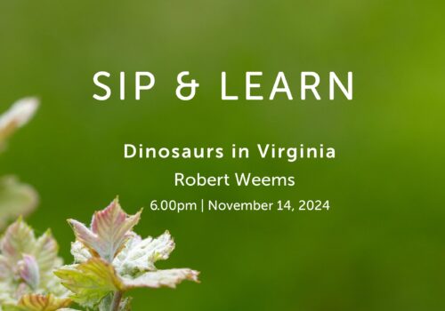 Sip & Learn Image