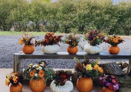 Pumpkin Thanksgiving Centerpiece Workshop with Denise Oorbeek Image