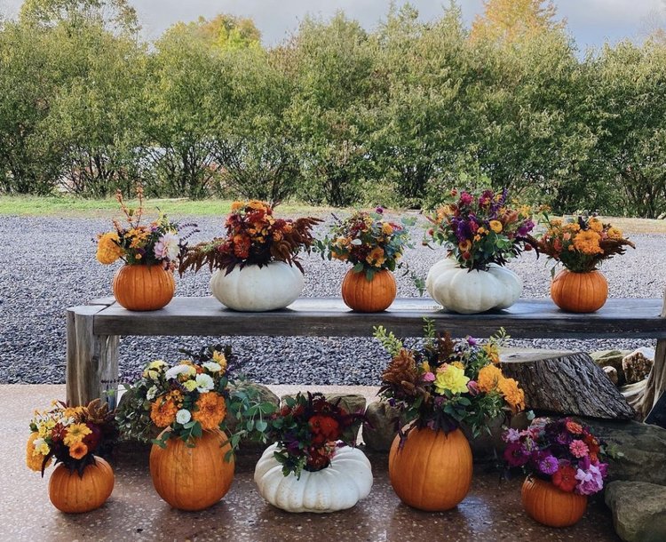 floral arrangement in a pumpkin