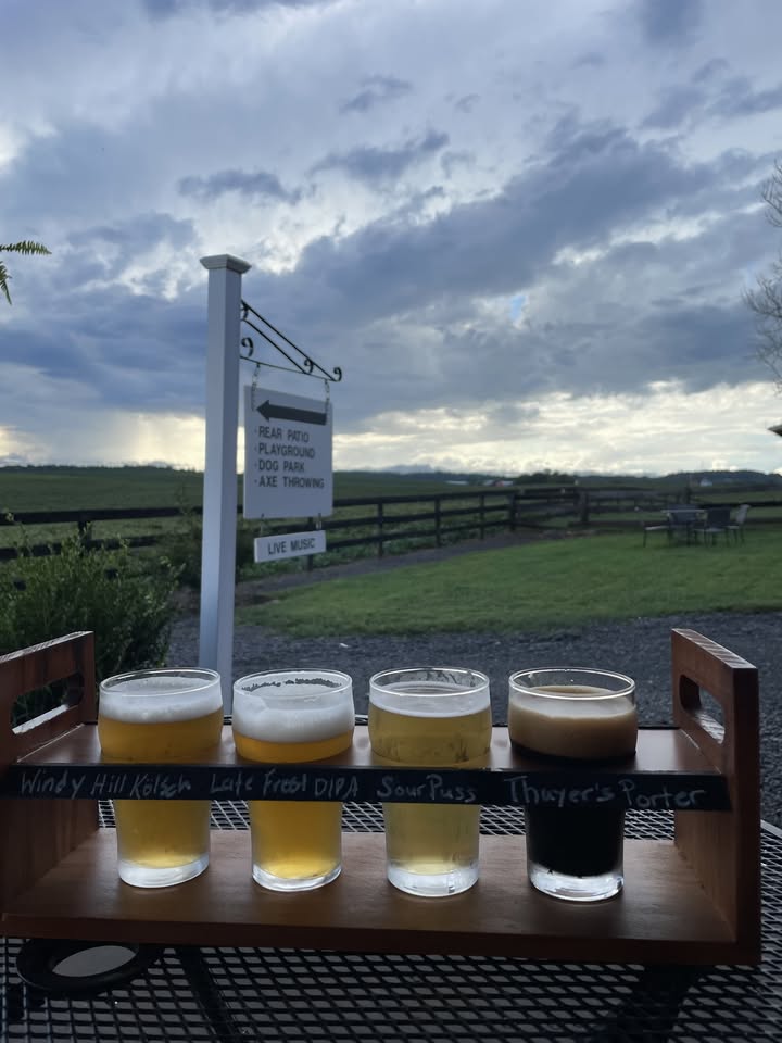 flight of beer with a fence and sky on the background