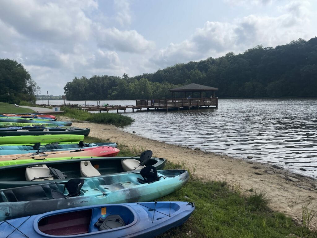 canoes and other small watercraft on a beach with a dock in the background