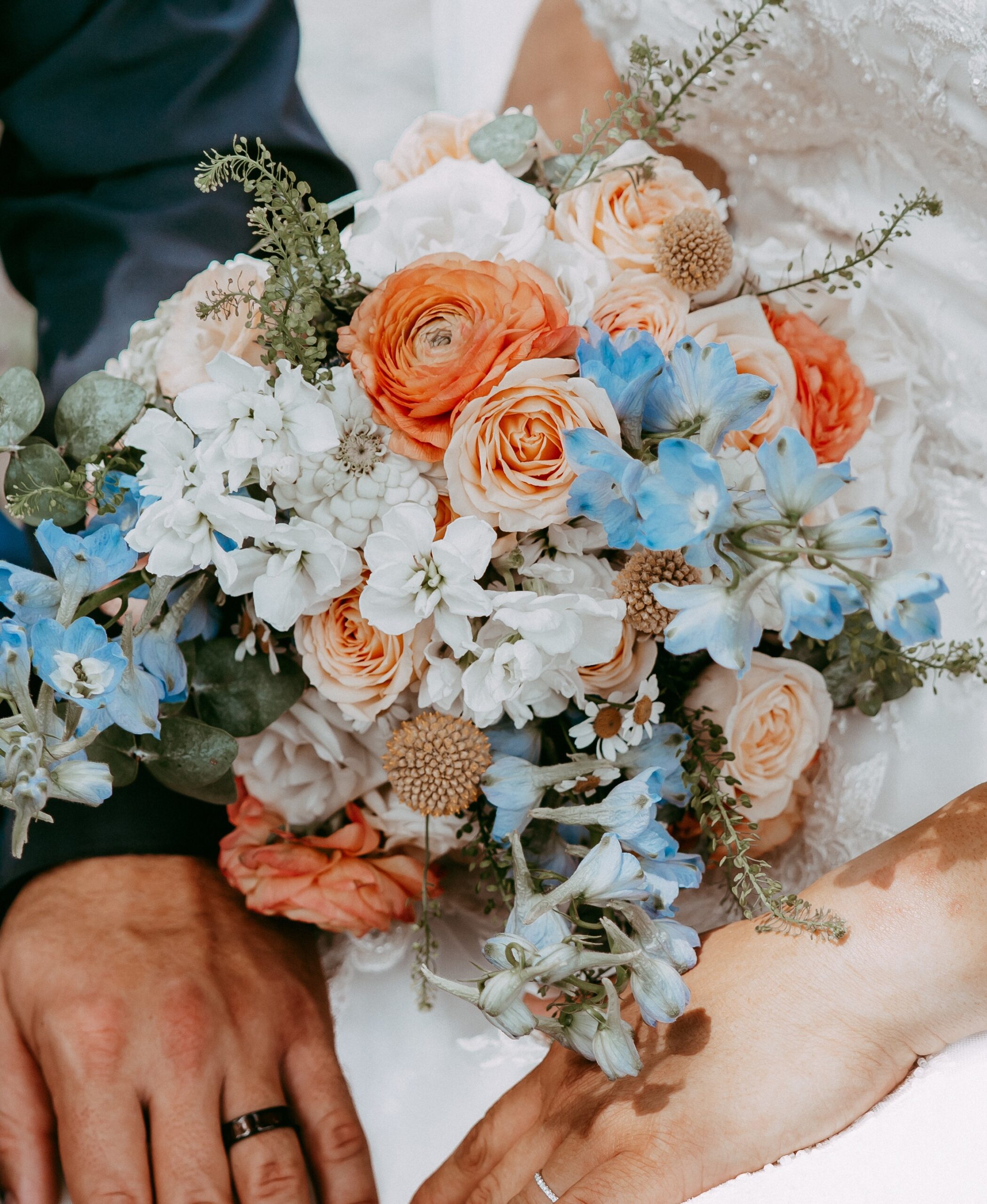 Azalea Field Flowers Image