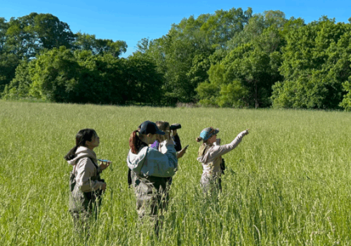 Winter Bird Walk Image