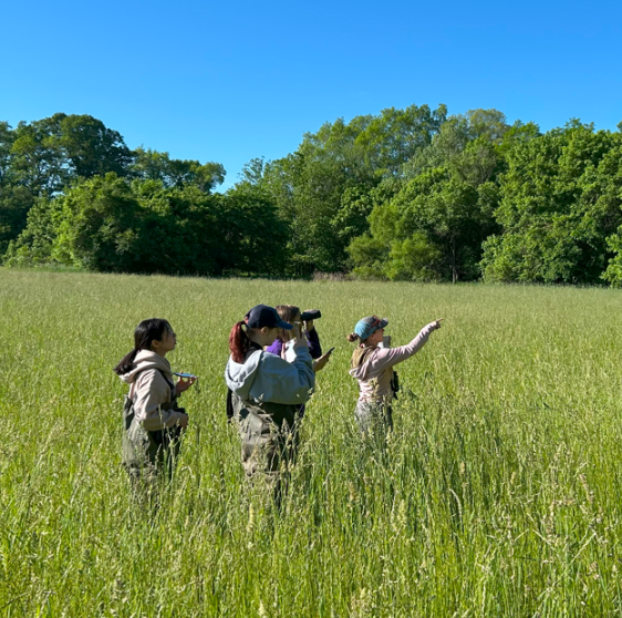 people in a field