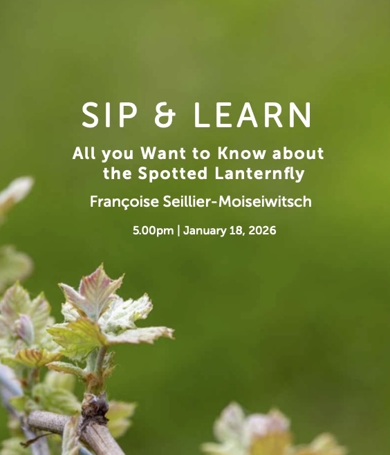 Sip and Learn